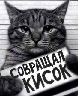 Россома