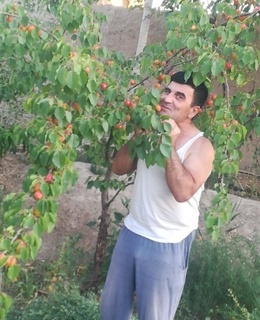 Шакир